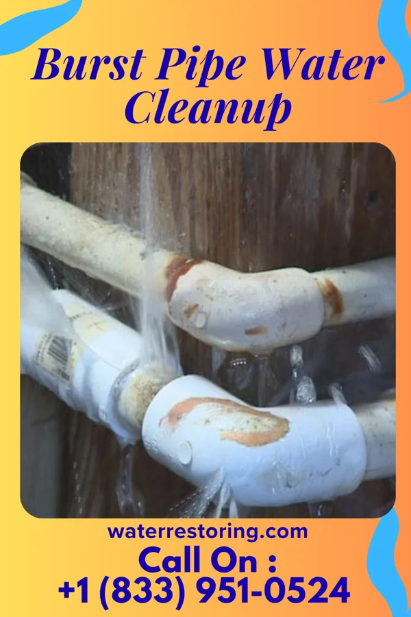 Burst Pipe Water Cleanup in Winfield, WV