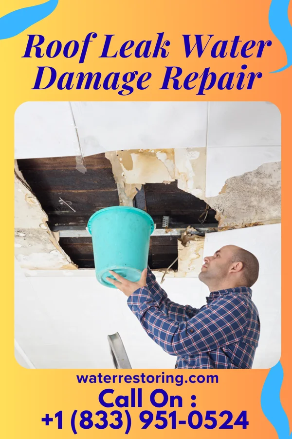 Roof Leak Water Damage Repair in Winfield, WV