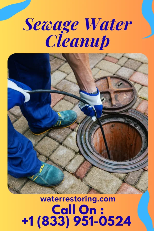 Sewage Water Cleanup in Winfield, WV